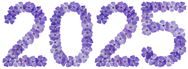 Inscription 2025, from natural blue flowers of periwinkle, isolated on white background