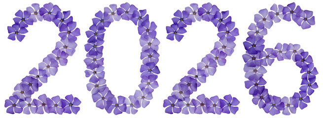 Inscription 2026, from natural blue flowers of periwinkle, isolated on white background