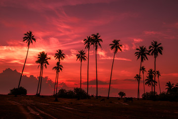 Obraz premium The background of the morning sunrise by the sea, with cows grazing and the twilight sky, blurred through the wind and a beautiful seaside tree