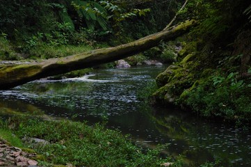 Obraz premium Rivers Dreamers