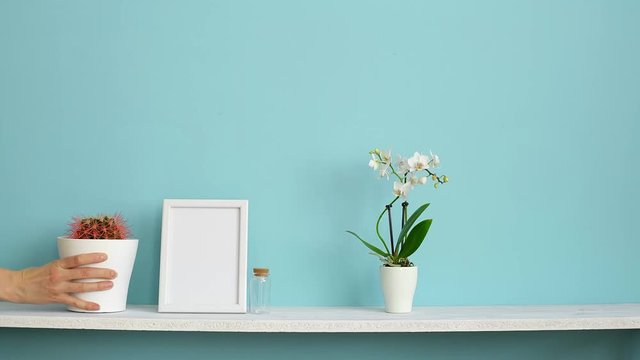 Picture frame mockup. White shelf against pastel turquoise wall with potted orchid and hand putting down cactus plant.