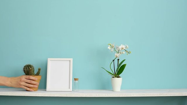 Picture frame mockup. White shelf against pastel turquoise wall with potted orchid and hand putting down cactus plant.
