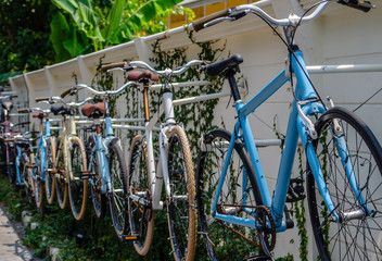 Fototapeta na wymiar Bicycles on wall