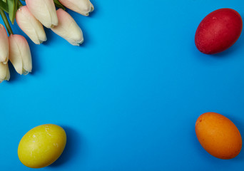 Easter eggs with tulip flower