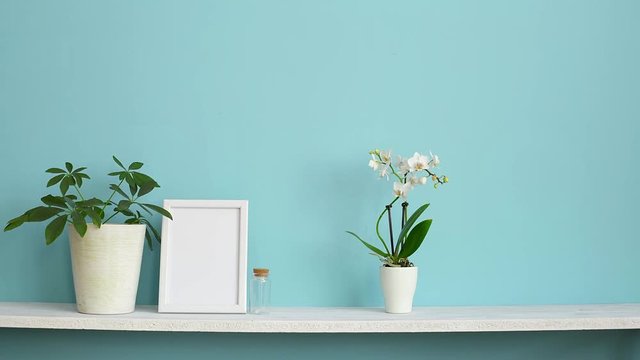 Picture frame mockup. White shelf against pastel turquoise wall with potted orchid and hand putting down schefflera plant.