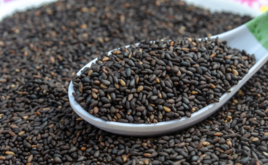 Sesame Seeds