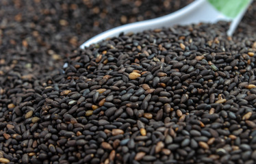 Sesame Seeds