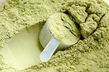 Green Tea Whey Protein