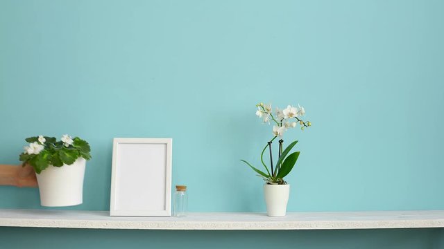 Picture frame mockup. White shelf against pastel turquoise wall with potted orchid and hand putting down violet plant.