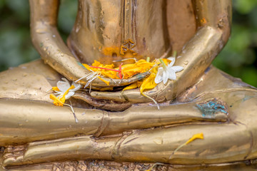 The background of a hand that uses a glass of water, pouring water into the Buddha image, has blurred currents flowing, on the occasion of Songkran Day, New Year and various festivals.
