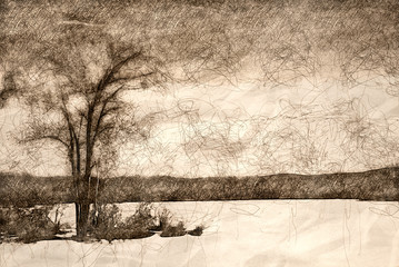Sketch of a Tree Standing Beside Frozen Lake