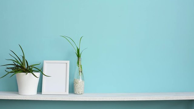 Picture frame mockup. White shelf against pastel turquoise wall with spider plant cuttings in water and hand putting down succulent.