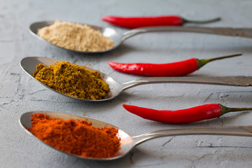 Different spices in metall spoons on grey background. Macro. Selective focus. Close up. Side view