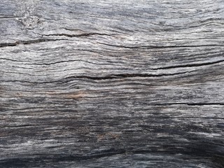 old wood texture background