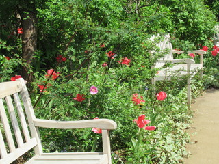 Springtime - Flower and garden bench