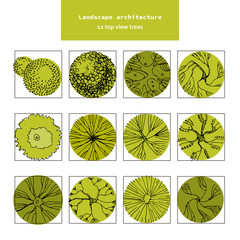 Top view vector set of different green trees.Hand drawn illustration for landscape design, plan, maps.Collection of trees, isolated on the white background.