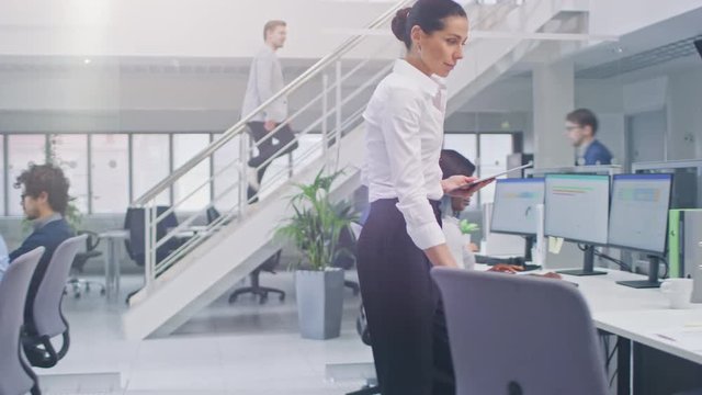 Diverse Team of Business Managers and Specialists Work on Desktop Computers with Two Rows of Tables Side by Side. Young and Motivated Business people in Modern Open Office.