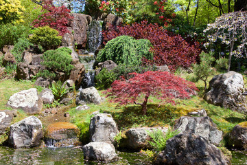 Japanese garden with waterfall, beautiful relaxing scene.