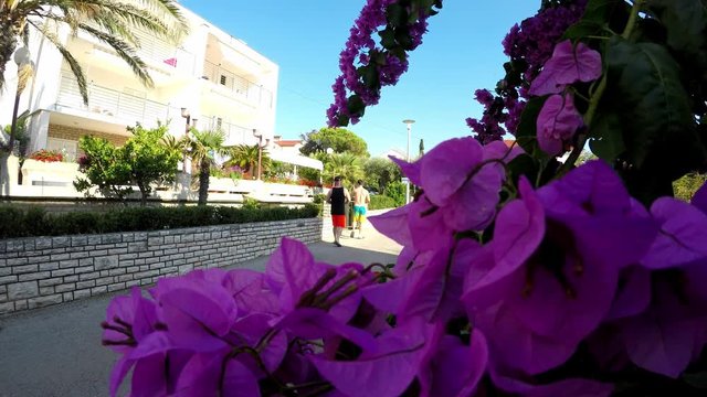 Summer holiday on Zrce beach in croatia plus black sheep festival.