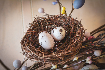 Little nest with eggs