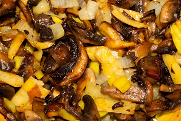 colorful mushrooms as background