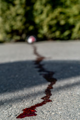 Naklejka na ściany i meble Blood flows along the asphalt to the camera