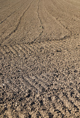 brown tilled ground in the field ready to sow cereal i