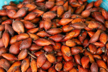 Salak fruit for sale at the market in Thailand. Salacca wallichiana or Salacca zalacca is local traditional Thai fruit, fruit shop in Thailand