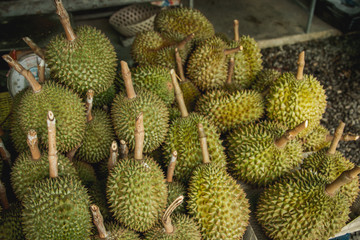 fresh durians in the durian market.