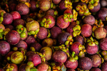 Mangosteen from Garden fruit sent to sell in the market. Close up and soft focus fruit in Thailand.