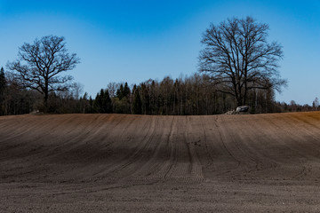 Mazeikiai, Lithuania Plowed fields ready for planting.