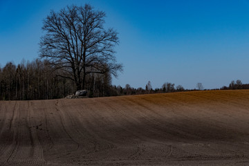 Mazeikiai, Lithuania Plowed fields ready for planting.