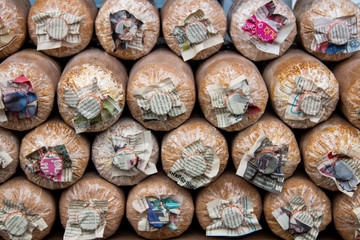 Mushroom cultivation : the cultivation of oyster mushrooms from spawn in farm. Selective focus.