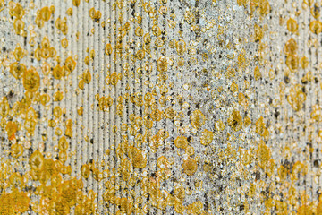 Dangerous asbestos roof. Asbestos dust in the environment. Health problems