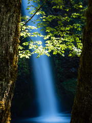 Horsetail Falls in Columbia River Gorge, Oregon, USA