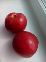 Red apples on white windowsill