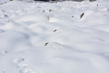 Snowy hills texture. Winter beauty backdrop. Snowdrift background.