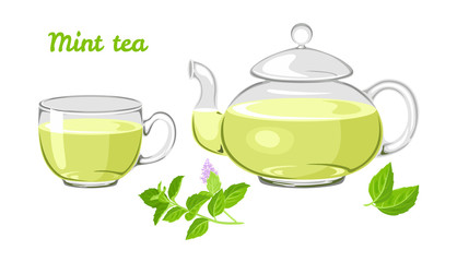 Mint tea set. Glass cup and teapot, a branch of blooming fresh mint isolated on white background. Vector illustration of hot, healthy herbal drink in cartoon flat style.