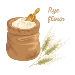 Rye flour in bag with a measured wooden scoop and ears of cereal isolated on a white background. Vector illustration in cartoon flat style.