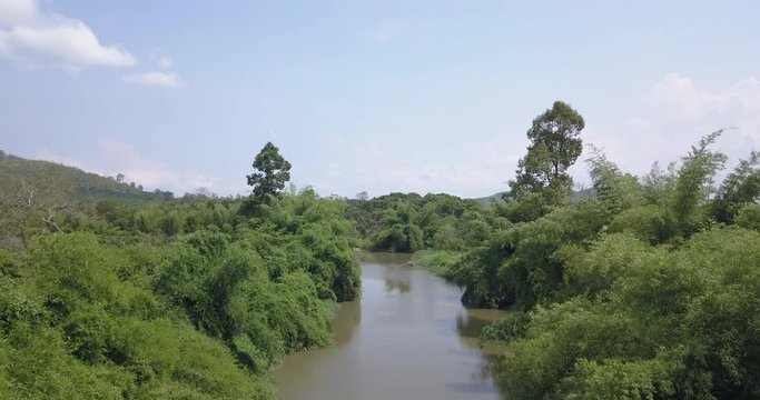 Forward drone motion view above a remote wild jungle river with overgrown vegetation in a tropical humid climate with an ascent and aerial overview of dense woodland and trees
