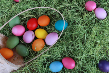 Fototapeta na wymiar Painted eggs scattered from basket on green grass. Easter background or egg hunt concept. Pink, yellow, green, orange eggs, hay, top view