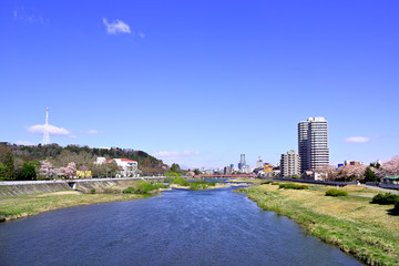 仙台市の広瀬橋付近より上流を望む