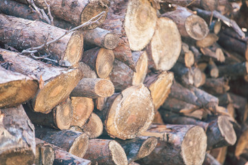 A pile of firewood.