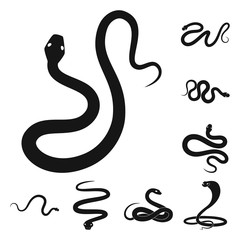 Isolated object of nature and medicine logo. Collection of nature and evil stock vector illustration.