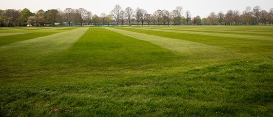 Obraz premium lawn at Eton playgrounds