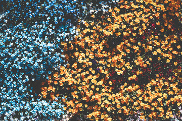 Beautiful flower pattern