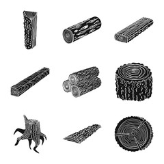 Vector design of hardwood  and construction symbol. Collection of hardwood  and wood stock vector illustration.