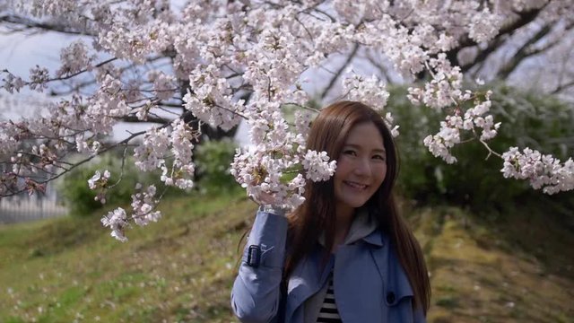 Attractive Japanese woman smiling with cherry blossom, Slow-Motion.