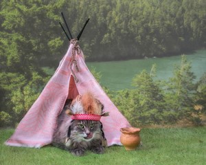 Kitty in costume Indian  near wigwam © Iryna
