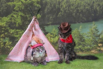 Kitty in costume Indian and old cat in costume cowboy near wigwam © Iryna